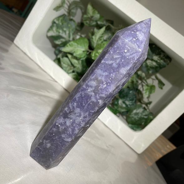 Lepidolite Aquamarine Matrix |Generator