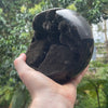 Velvet Druzy Septarian Sphere