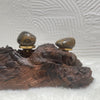 Stromatolite Tumblestones High Grade