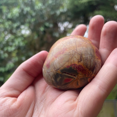 Cherry Creek Jasper Palmstone