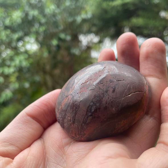 Cherry Creek Jasper Palmstone