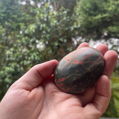 Cherry Creek Jasper Palmstone