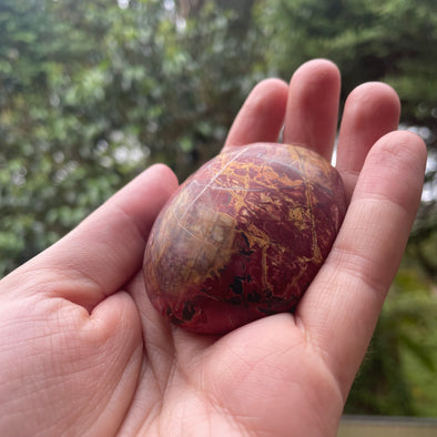 Cherry Creek Jasper Palmstone