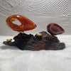 Druzy Carnelian Sardonyx Matrix | Egg