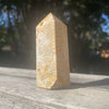 Fossil Coral Obelisk