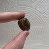 Stromatolite Tumblestones High Grade