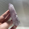 Fingerprint Amethyst | Generator