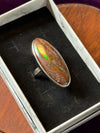 Boulder Opal | Sterling Silver Ring | Size 9.5 aka T
