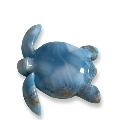 Larimar Sea Turtle