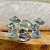 Mini Fluorite Mushroom Families