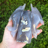 Druzy Agate Dolphin Carving