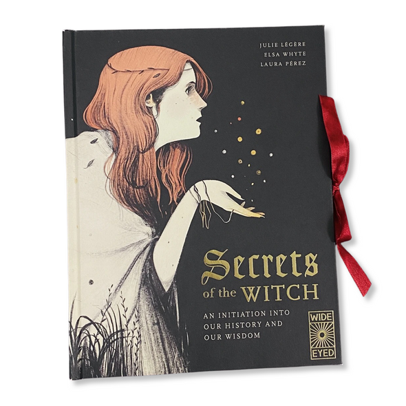 Secrets of the Witch - An initiation into our history and our wisdom Book