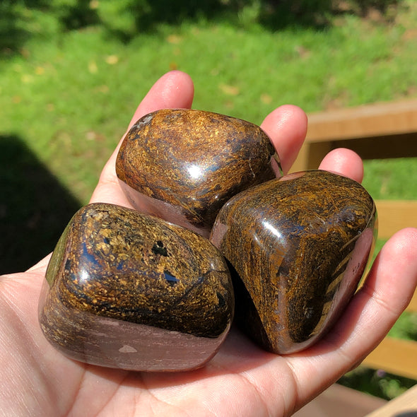 Bronzite Mega Polished Tumblestones