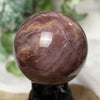 Petrified Wood | Sphere