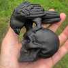 Black Obsidian Raven & Skull Carving Crystaluxe