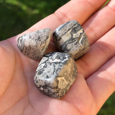 Grey Lace Agate Small Tumblestones