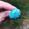 Tibetan Turquoise Sterling Silver Ring 8 (Q)