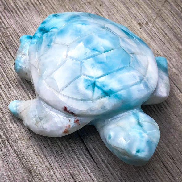 Larimar Carved Turtle Crystaluxe 'AAA' Grade