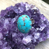 Tibetan Turquoise Sterling Silver Ring 8 (Q)
