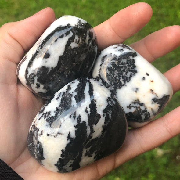 Zebra Jasper Polished Mega Tumblestones