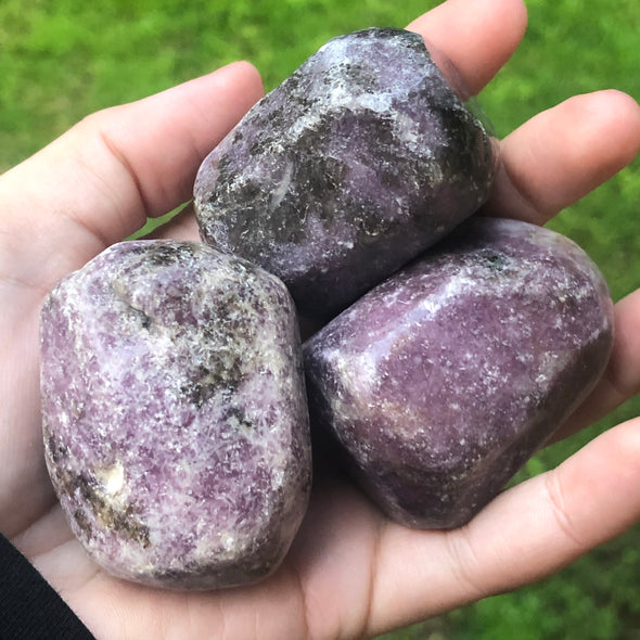 Lepidolite Polished Mega Tumblestones